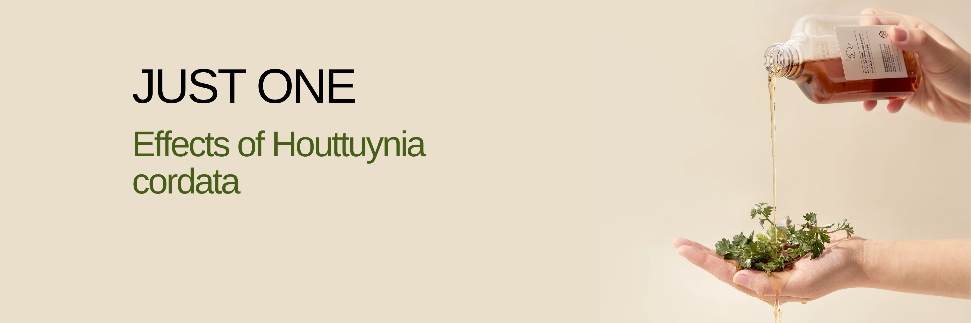 Buy Best Face Serums Online in India