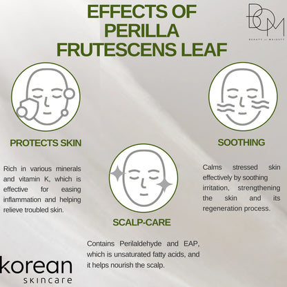 Best Skin Care Products for Oily Skin Online at Best Prices